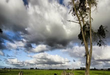 多哈世乒赛器材亮相！马龙惊讶球桌配色，地胶和比赛用球也引热议.