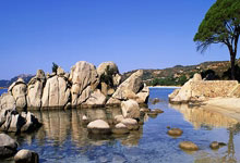 KAIYUN：37岁佩德罗欧联杯三场首发 2球2助攻助拉齐奥登顶.